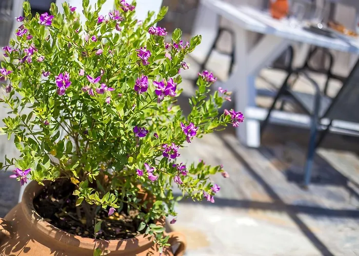 La Casa Del * Kalithies